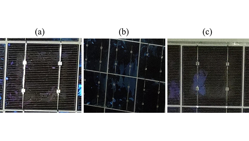 Delaminación en los bordes de las celdas solares, decoloración de los encapsulantes y oxidación de las rejillas metálicas como resultado de la entrada de humedad.