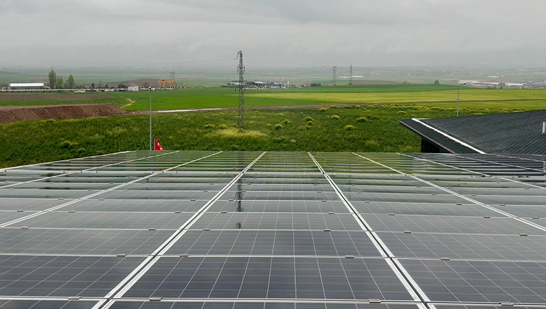 Solar Panels Cleaning
