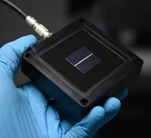 WPVS cell